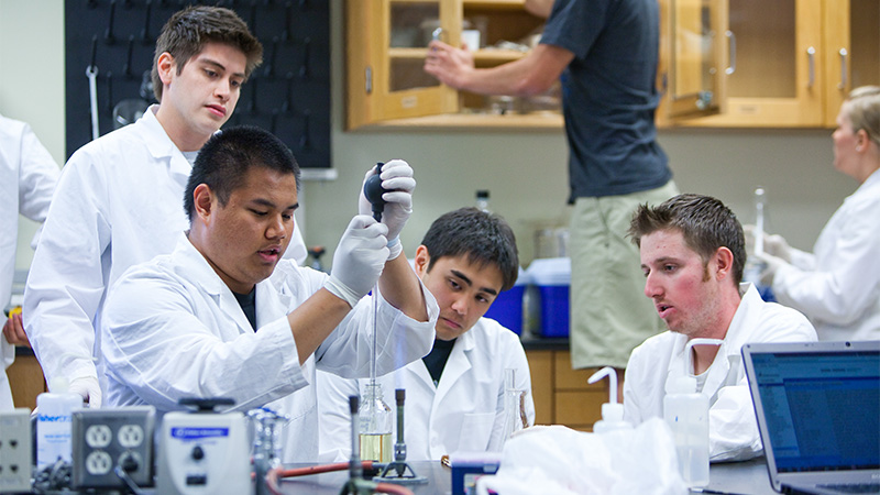 Group of male students in chemistry lab